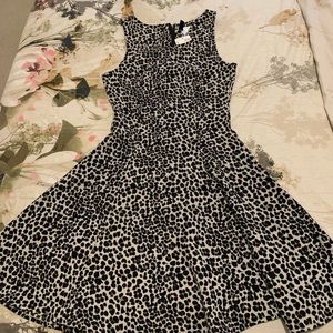 BNWT Skater dress